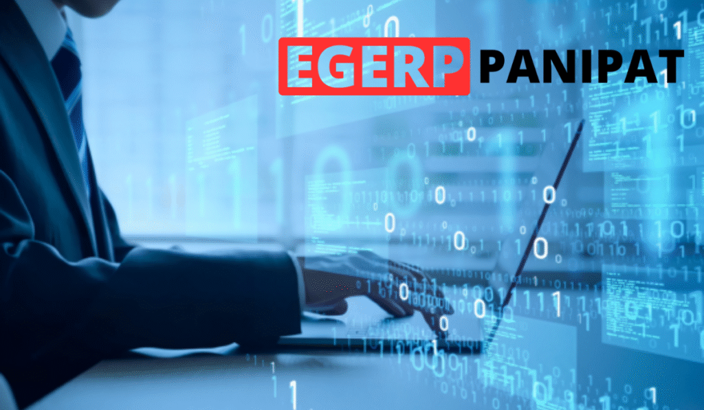 Core Services Offered by EGERP Panipat