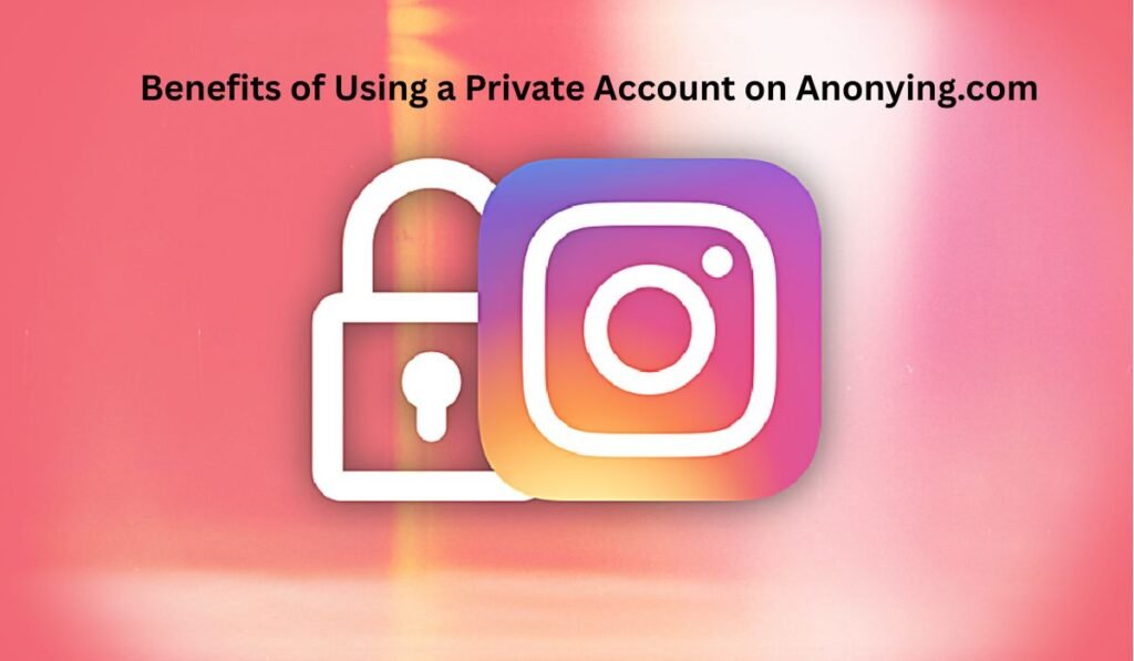 Private Account on Anonying.com